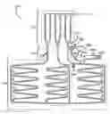 Fig. 01 - Thermosiphons for use with temperature-regulated storage devices