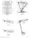 Fig. 04 - Method and system for personal dead-reckoning drift compensation using gait characteristics