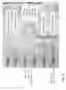 Fig. 05 - Method of partial lysis and assay