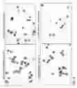 Fig. 09 - Method of partial lysis and assay