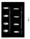 Fig. 08 - Trajectory-based triggering system for hyperspectral imaging flow cytometer