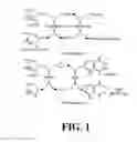 Fig. 02 - Systems and methods for detection of chemtiluminescent reactions