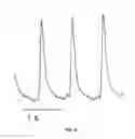 Fig. 08 - Systems, methods, and workflows for optogenetics analysis
