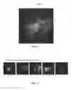 Fig. 11 - Systems, methods, and workflows for optogenetics analysis