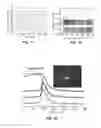Fig. 14 - Systems, methods, and workflows for optogenetics analysis