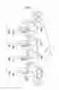 Fig. 06 - Developing apparatus, process cartridge and electrophotographic image forming apparatus