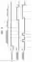 Fig. 10 - Image forming apparatus including a drum cartridge having a detection gear