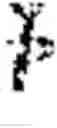 Fig. 40 - Phonetic keyboards