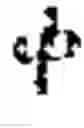 Fig. 65 - Phonetic keyboards
