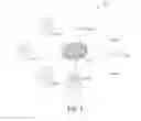 Fig. 07 - Customized runtime environment