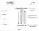 Fig. 02 - Method and system for determining safety compliance level of a software product