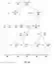 Fig. 09 - Aggregating source code metric values