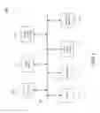 Fig. 07 - WEB PAGE DISPLAY SYSTEMS AND METHODS