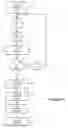 Fig. 06 - Nonstandard locality-based text entry