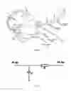 Fig. 07 - Method and apparatus for quantitative flow analysis