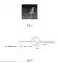 Fig. 09 - Method and apparatus for quantitative flow analysis