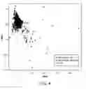 Fig. 06 - Methods and processes for non invasive assessment of a genetic variation