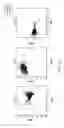 Fig. 07 - Methods and processes for non invasive assessment of a genetic variation