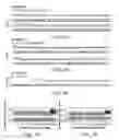 Fig. 06 - Genetic copy number alteration classifications
