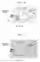 Fig. 12 - IMAGE-PROCESSING APPARATUS, BIOLOGICAL OBSERVATION APPARATUS, AND IMAGE-PROCESSING METHOD