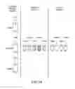 Fig. 14 - Apparatus and method for formulation and dispensing of visually customized cosmetics