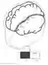 Fig. 01 - Physiological phantoms incorporating feedback sensors and sensing materials