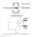 Fig. 14 - Physiological phantoms incorporating feedback sensors and sensing materials