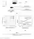 Fig. 15 - Physiological phantoms incorporating feedback sensors and sensing materials
