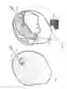 Fig. 22 - Physiological phantoms incorporating feedback sensors and sensing materials