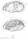 Fig. 27 - Physiological phantoms incorporating feedback sensors and sensing materials