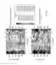 Fig. 49 - Direct energy conversion assembly for nuclear fusion systems
