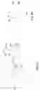 Fig. 06 - Packaged semiconductor devices and methods of packaging semiconductor devices