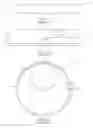 Fig. 02 - Semiconductor wafer and method of reducing wafer thickness with asymmetric edge support ring encompassing wafer scribe mark