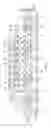 Fig. 09 - Packages with Die Stack Including Exposed Molding Underfill