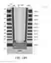 Fig. 22 - NON-VOLATILE MEMORY WITH REDUCED VARIATIONS IN GATE RESISTANCE