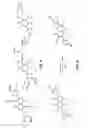 Fig. 04 - Functionalized pyranopyran-derived acceptors for donor-acceptor polymers