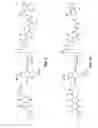 Fig. 06 - Functionalized pyranopyran-derived acceptors for donor-acceptor polymers