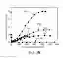 Fig. 04 - Light emitting diode and method of fabricating the same