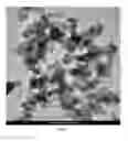 Fig. 02 - COMPOSITE SEPARATOR AND PREPARATION METHOD THEREFOR, AND LITHIUM-ION BATTERY