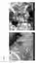 Fig. 06 - Synthesized, surface-functionalized, acidified metal oxide materials for energy storage, catalytic, photovoltaic and sensor applications