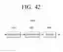 Fig. 49 - Transmitting apparatus and non-uniform constellation mapping method thereof