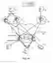 Fig. 02 - Multi-destination packet forwarding for a multi-homed device in a virtual network