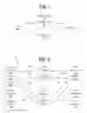 Fig. 02 - Systems and methods for accelerated pattern matching