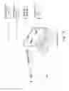 Fig. 06 - SYSTEMS AND METHODS OF ILLUMINATION CONTROL FOR BIOMETRIC CAPTURE AND LIVENESS DETECTION