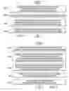 Fig. 05 - Dynamic multi-factor authentication challenge generation