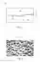 Fig. 02 - Component carrier with a bypass capacitance comprising dielectric film structure