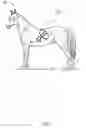 Fig. 02 - Methods of grooming horses and associated apparatus
