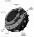 Fig. 01 - Releasable twist locking interface
