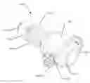 Fig. 01 - Portable nipple based animal waterer