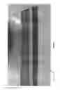 Fig. 02 - FISH MEASURING DEVICE